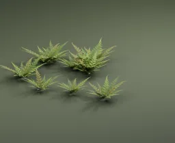 Fern Frond Shader — shared collection artwork, not an individual asset render